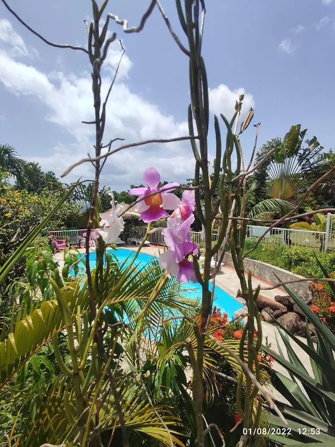 Holiday home Ti Soley Bungalow De Charme Avec Piscine Bouillante Guadeloupe